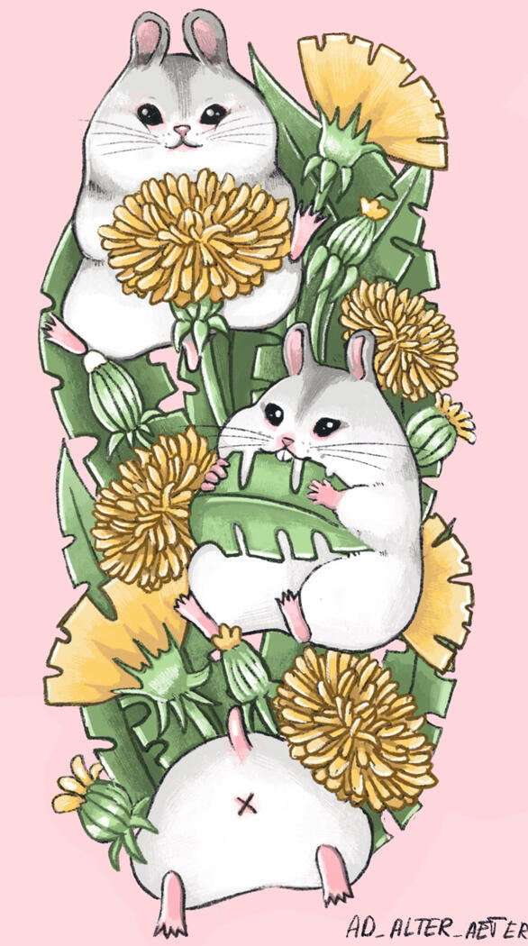 Hamster